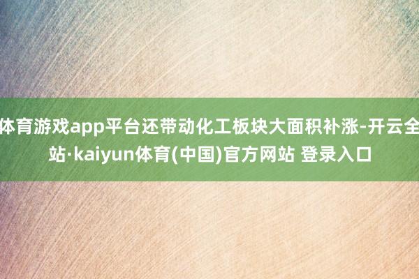 体育游戏app平台还带动化工板块大面积补涨-开云全站·kaiyun体育(中国)官方网站 登录入口