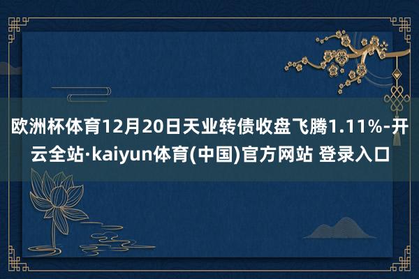 欧洲杯体育12月20日天业转债收盘飞腾1.11%-开云全站·kaiyun体育(中国)官方网站 登录入口