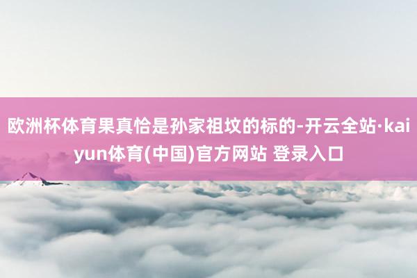欧洲杯体育果真恰是孙家祖坟的标的-开云全站·kaiyun体育(中国)官方网站 登录入口
