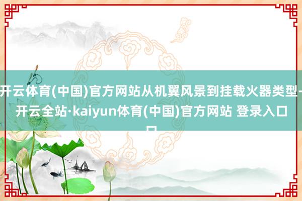 开云体育(中国)官方网站从机翼风景到挂载火器类型-开云全站·kaiyun体育(中国)官方网站 登录入口